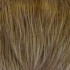  
Available Colours (Daxbourne): Shaded Wheat